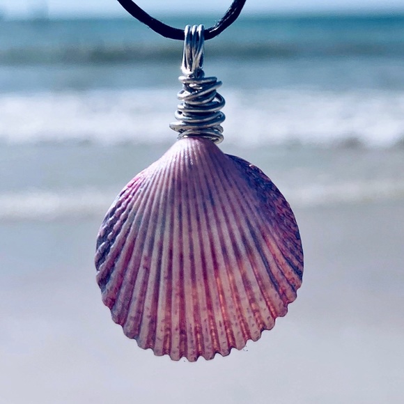 Jewelry - 🧜🏻‍♀️💙 Mermaid Florida Seashell Necklace